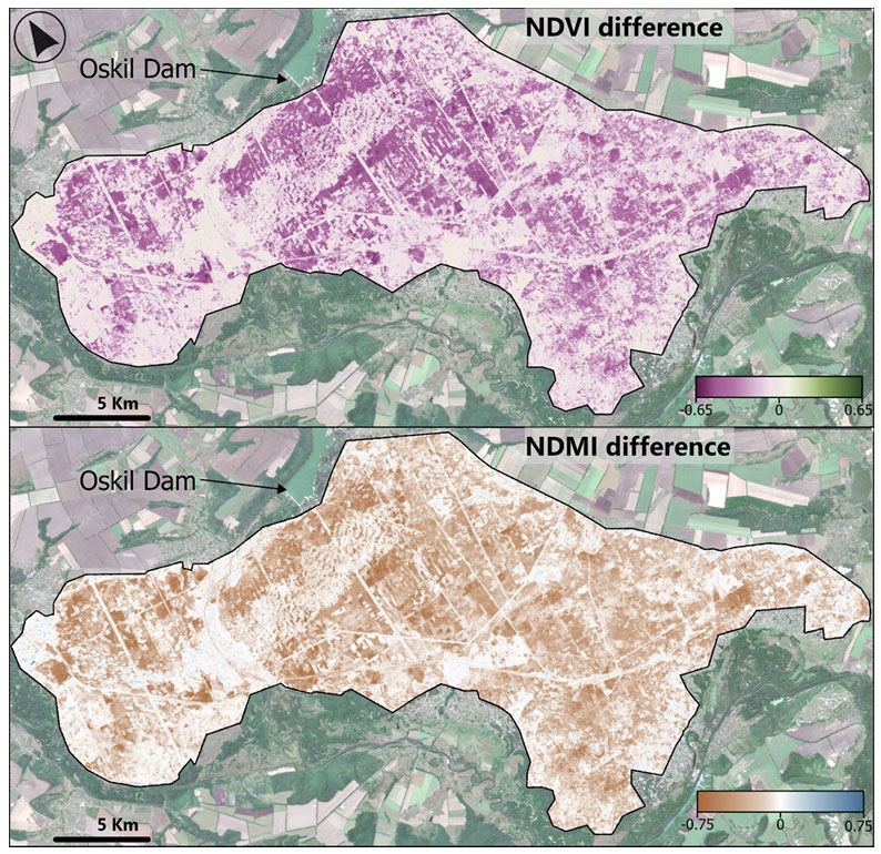 Illustrated changes between August 2021 and 2024 for the forested area downstream of the Oskil Dam. Source: Conflict Observatory Report 