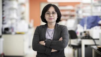 Xiaorong Liu