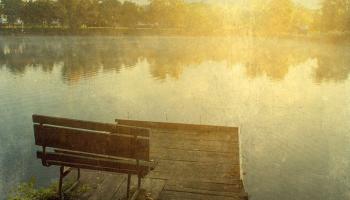 Silent Spring