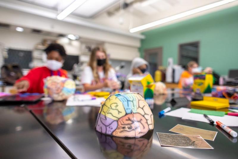 Campers put the finishing touches on their "brain caps" identifying the main parts of the human brain and their functions.