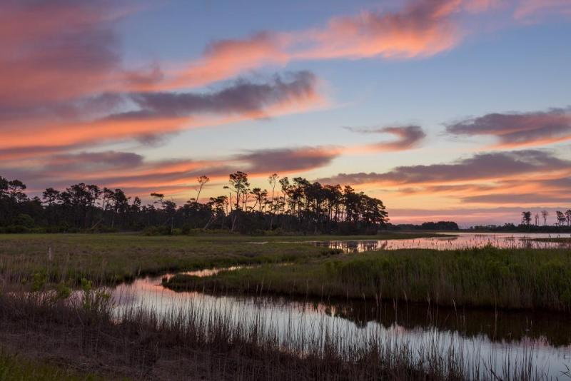 Coastal Virginia