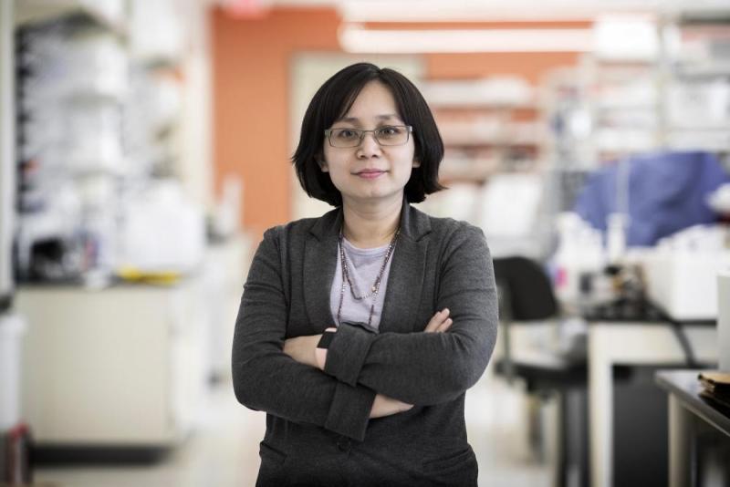 Xiaorong Liu