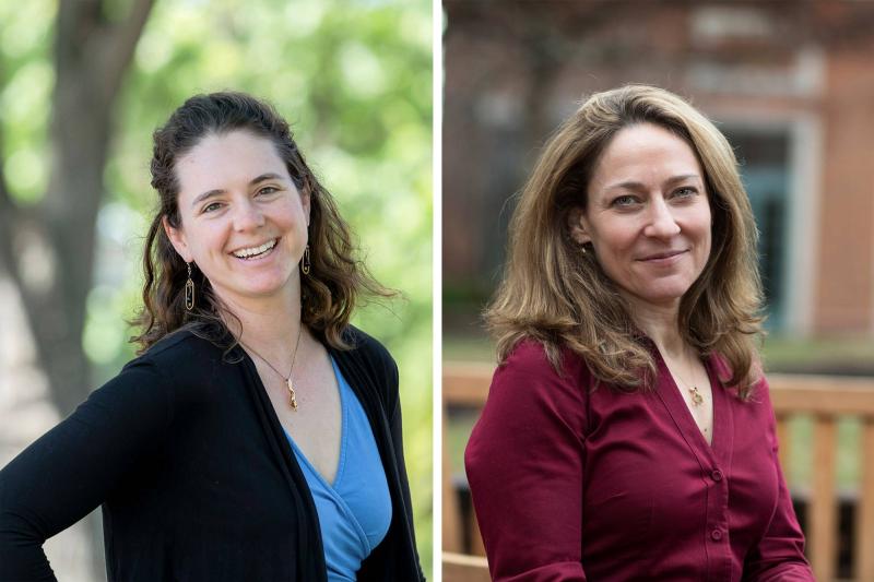 Amanda Gibson left, works in evolutionary biology, and Rachel Harmon focuses on wide-ranging laws that govern police. (Photos by Erin Edgerton and Dan Addison, University Communications)