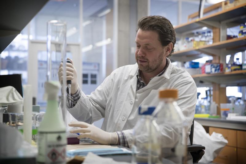 Biology professor Ali Güler’s research links “highly processed foods readily and cheaply available at any time of the day or night” to obesity and its many complications via disrupted circadian rhythms.