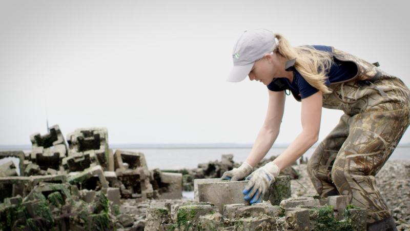Photo: Preserving Life on a Sandbar on the Virginia Eastern Shore