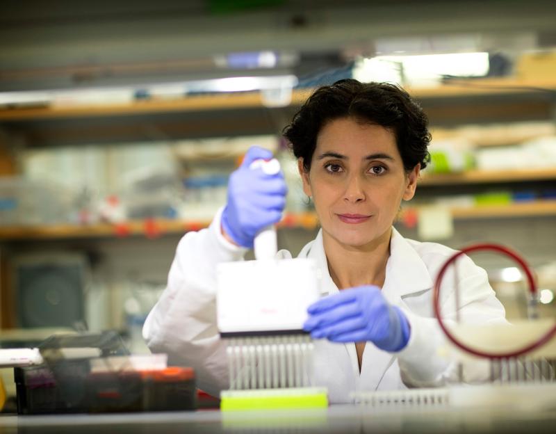 Eyleen O’Rourke is winning major funding for her cell research, which seeks to build a working computer model of an entire living animal. 