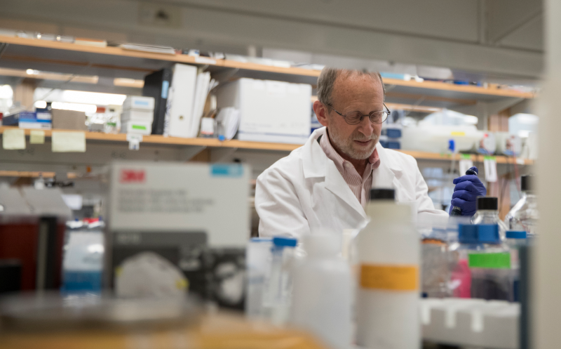 ccording to biologist George Bloom, most current Alzheimer’s treatments are too late to roll back the disease’s effects. 