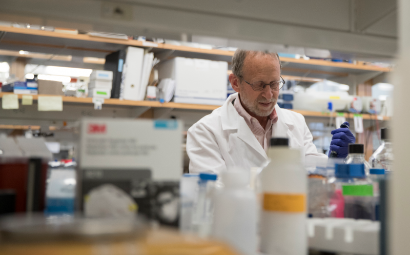 ccording to biologist George Bloom, most current Alzheimer’s treatments are too late to roll back the disease’s effects.