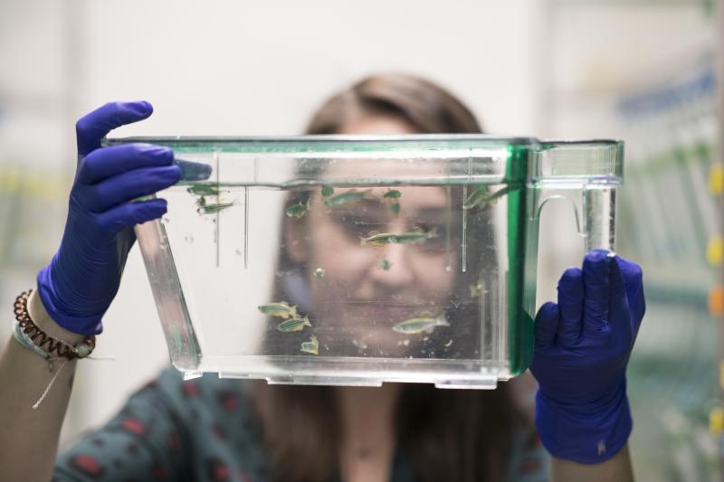 Postdoctoral fellow Laura Fontenas