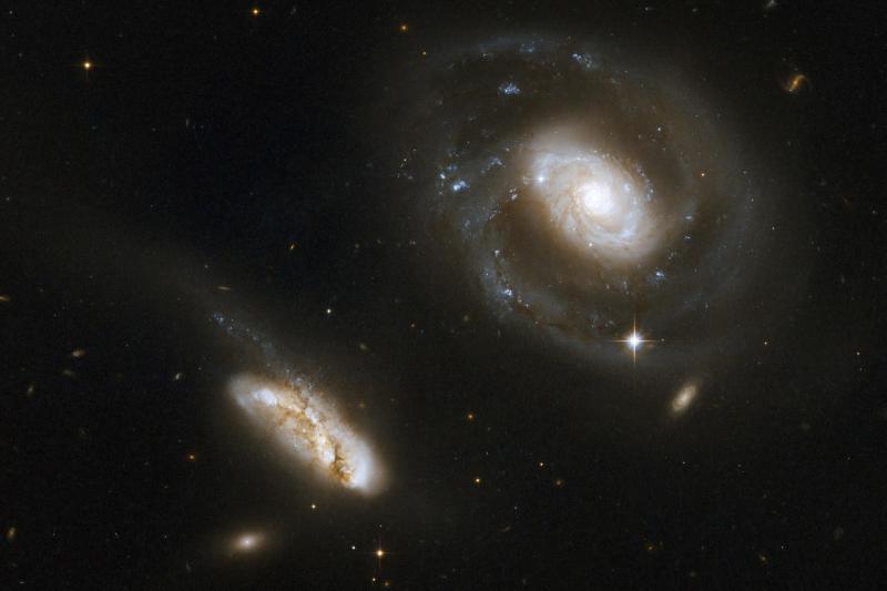 Evans’s project will use the James Webb Space Telescope to explore the cores of merging galaxies, such as NGC 7469, a galaxy known to host an active supermassive black hole, seen here.