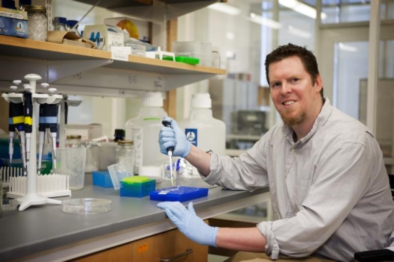 Christopher Deppman, Professor of Biology and Director, Neuroscience Graduate Program