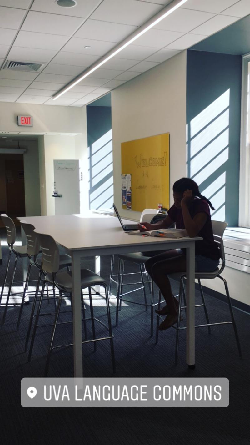 Studying in the new Language Lab in New Cabell Hall