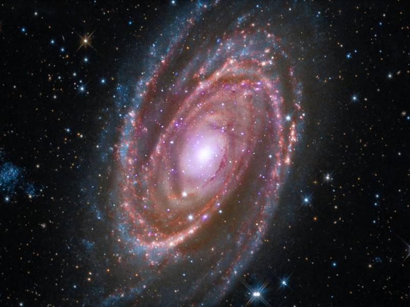 The spiral galaxy M81 which is similar in size and shape to our own galaxy, the Milky Way.