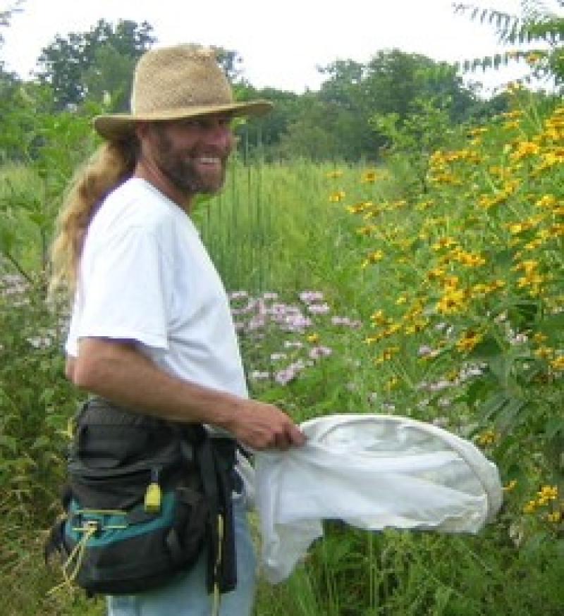 T'ai Roulston, Research Associate Professor, Dept. of Environmental Sciences