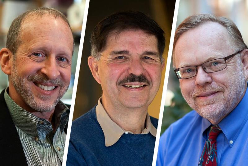 From left, biologist George Bloom, physicist Brad Cox and cell biologist David Brautigan have been named fellows of the world’s largest general scientific society. 
