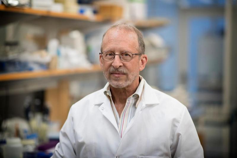 George Bloom’s lab specializes in understanding the biochemical changes that lead to Alzheimer’s disease.