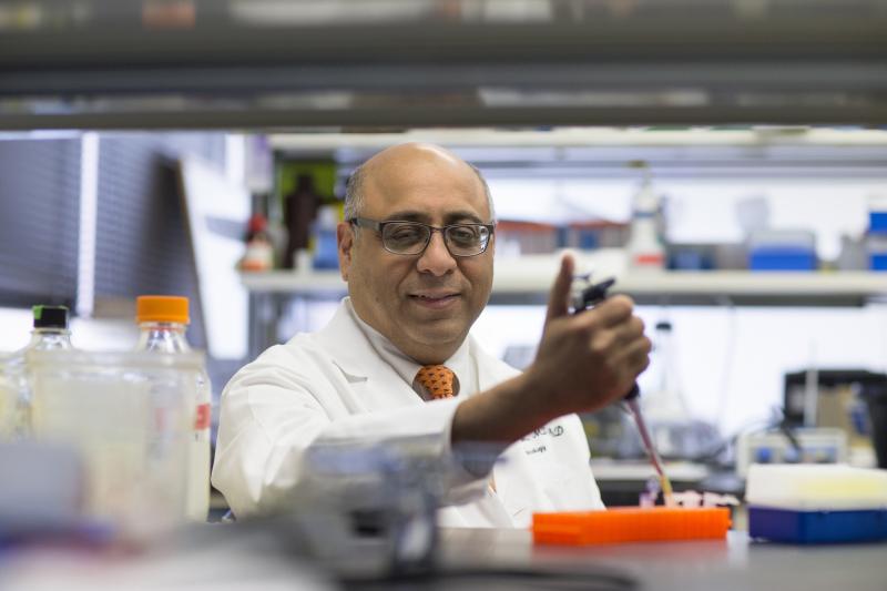 Dr. Jaideep Kapur, director of the UVA Brain Institute