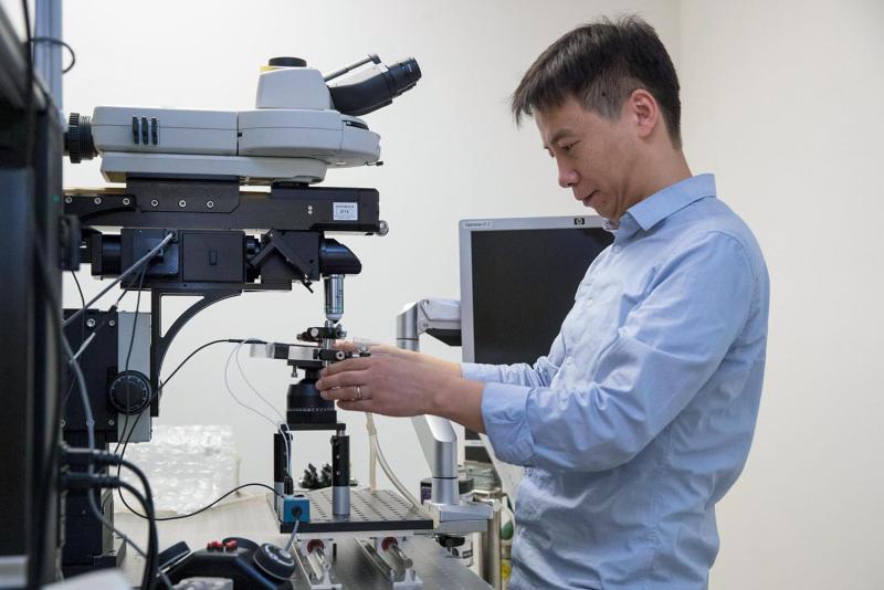 Cang is seeking ways to reopen the window of brain plasticity in order to treat many disorders.