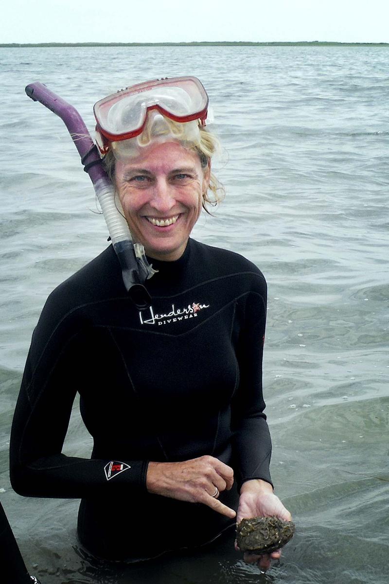 Environmental sciences professor Karen McGlathery, director of the Environmental Resilience Institute, has conducted seagrass studies in Virginia’s seaside bays since the 1990s.