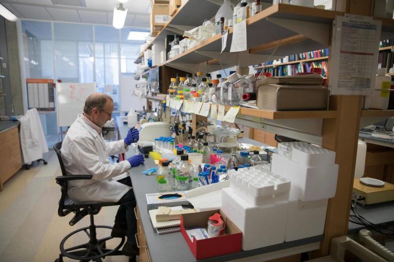 Bloom said “pure scientific interest” drives his work, as well as a desire to help people understand diseases of the brain.