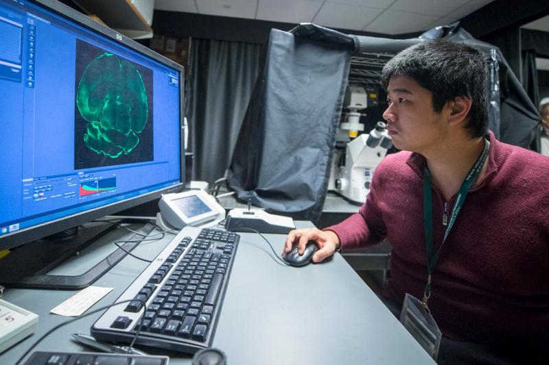 The center's technology allows extreme high-resolution visualizations of the inner workings of cells.