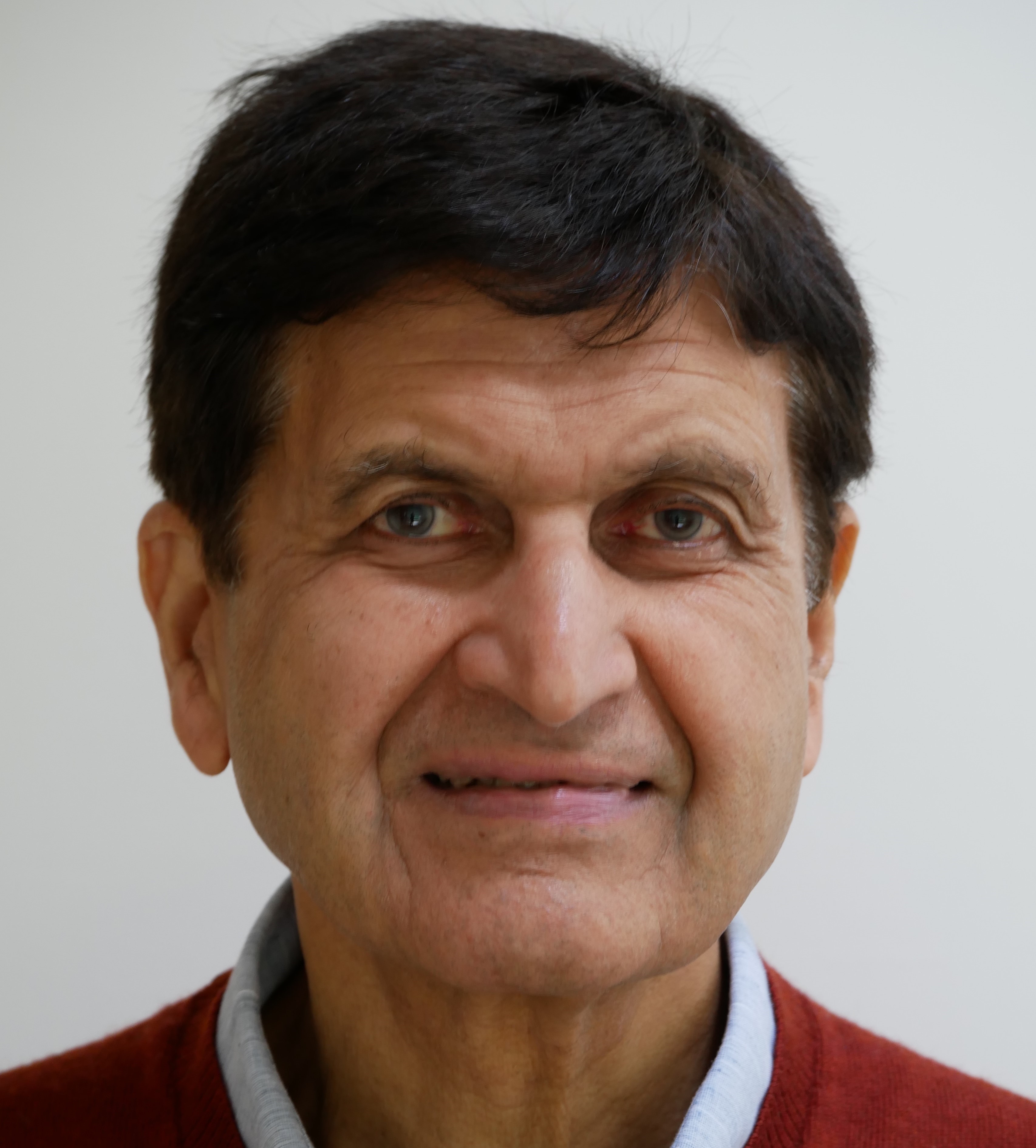 Krishan Kumar, University Professor