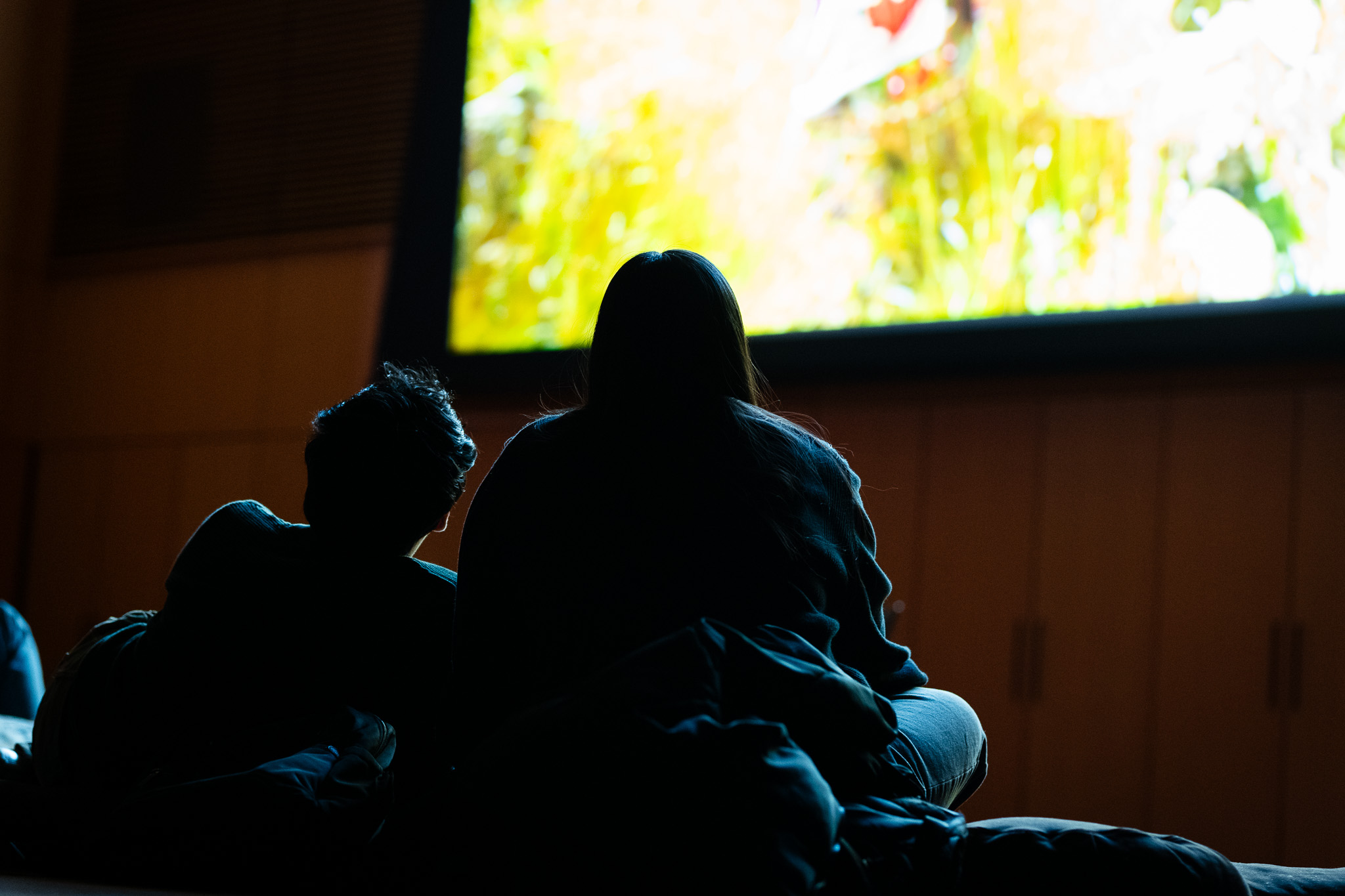 From the back, a photo of two audience members turned toward the screen watching a movie.