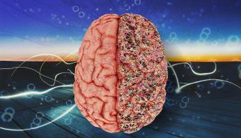 Brain Illustration